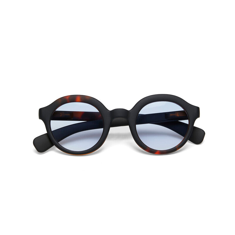 Lauro Havana black - Lente azul degradado