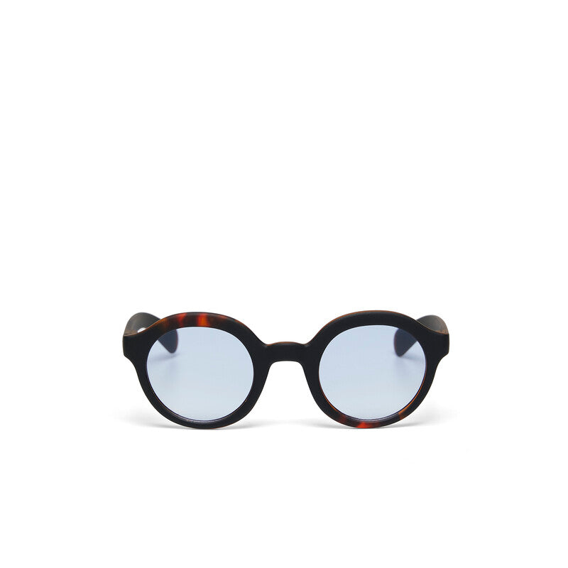 Lauro Havana black - Lente azul degradado