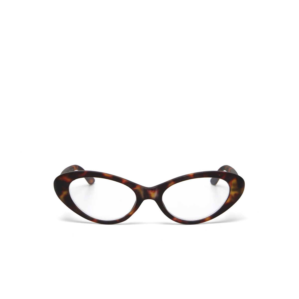 Lina Havana - Lectura