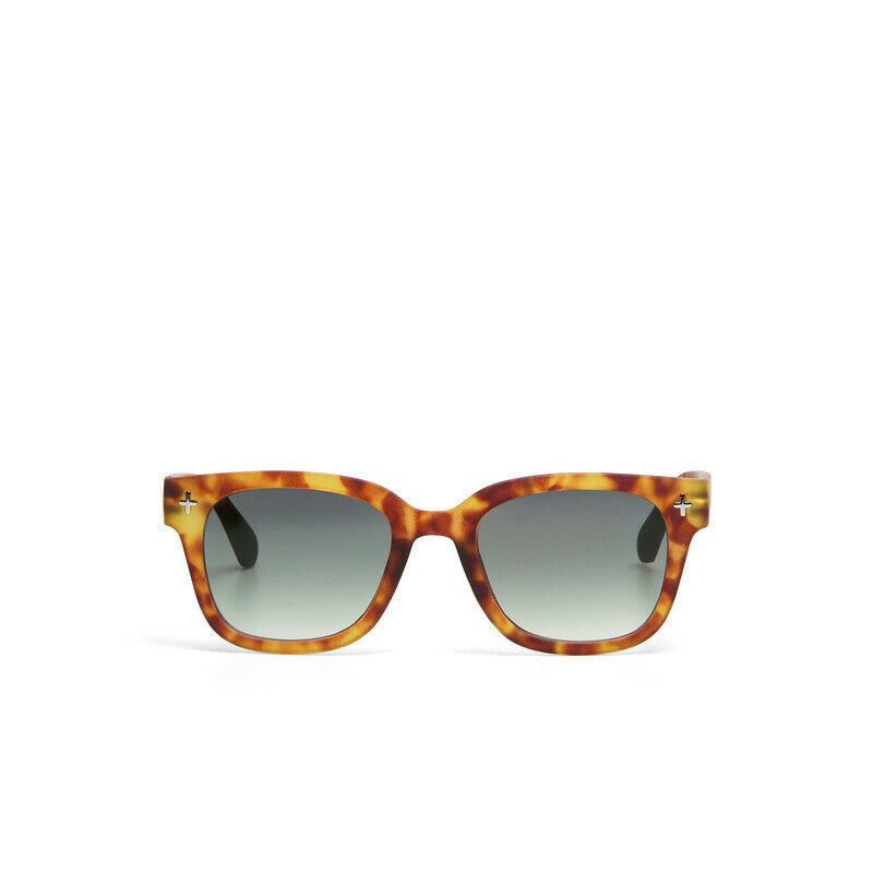 Sahara Havana